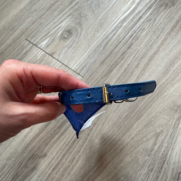 *Free with purchase!* Small Dog or Cat Collar - Picture 2 of 4